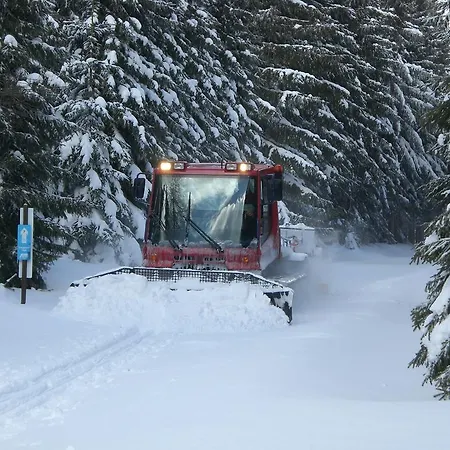 Zum Kranichsee Hotel 3*