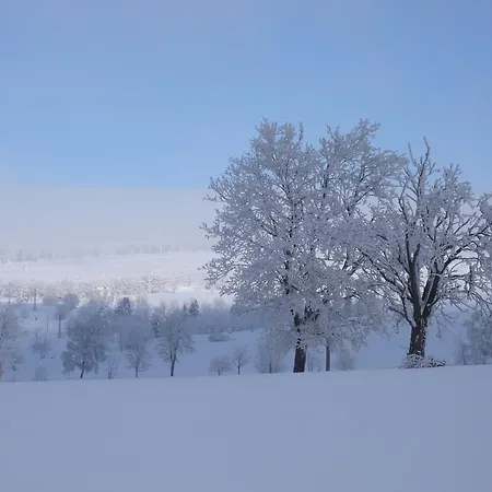 Zum Kranichsee 3* Weitersglashütte